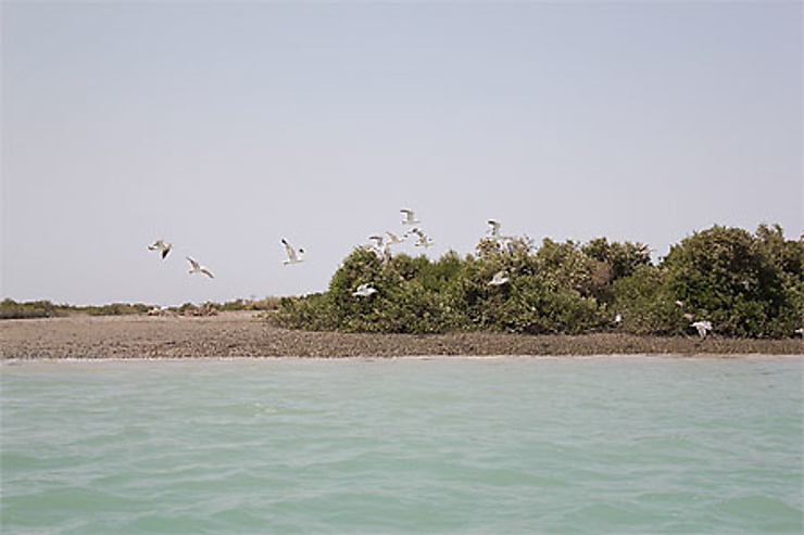 Forêt de mangroves de Hara