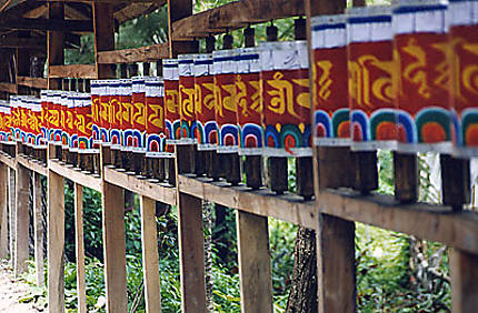 Escapade dans le Sikkim