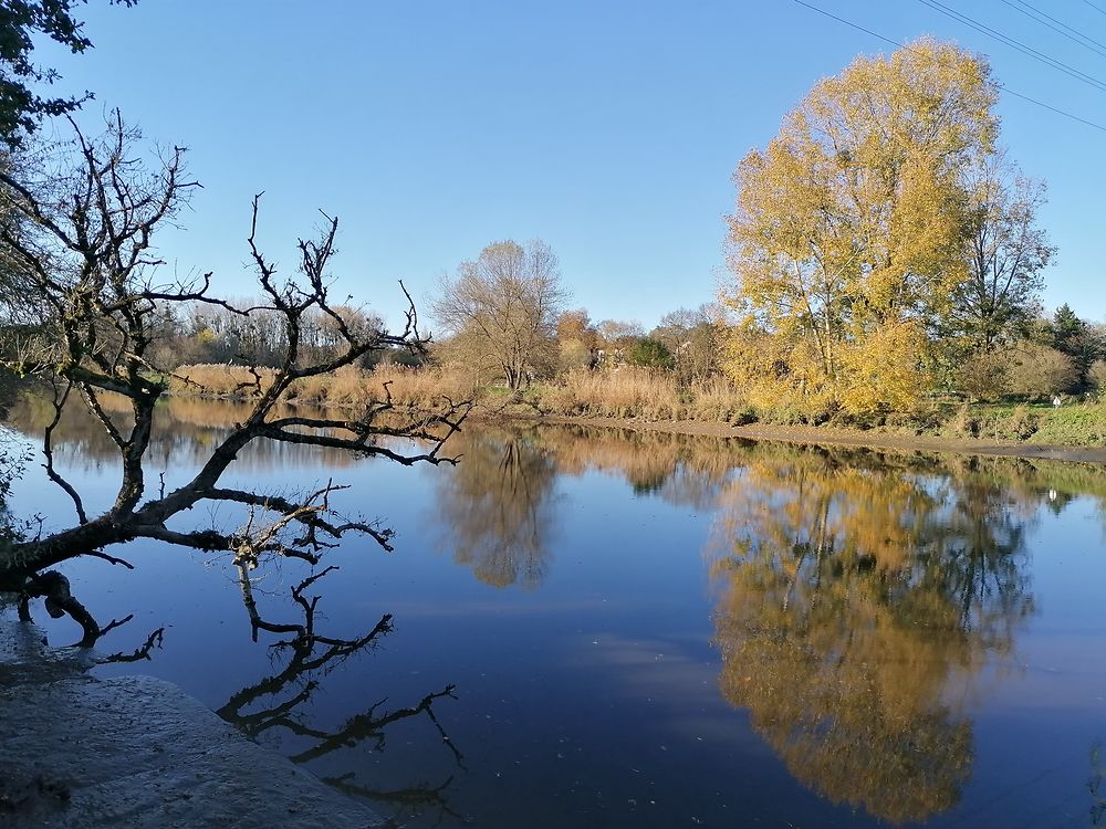 Les bords de sèvre nantaise