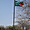 Drapeau de Zambie