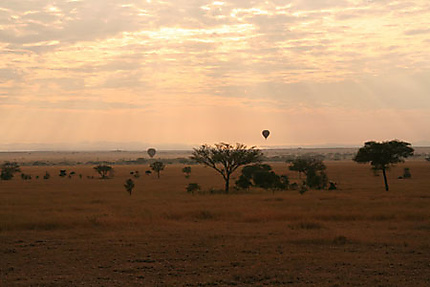 Safari en ballon 