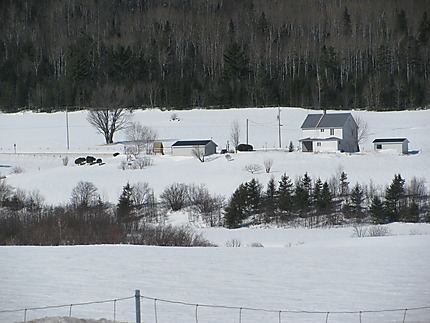 Paysage à Amqui