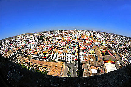 Séville (vue de la Giralda)