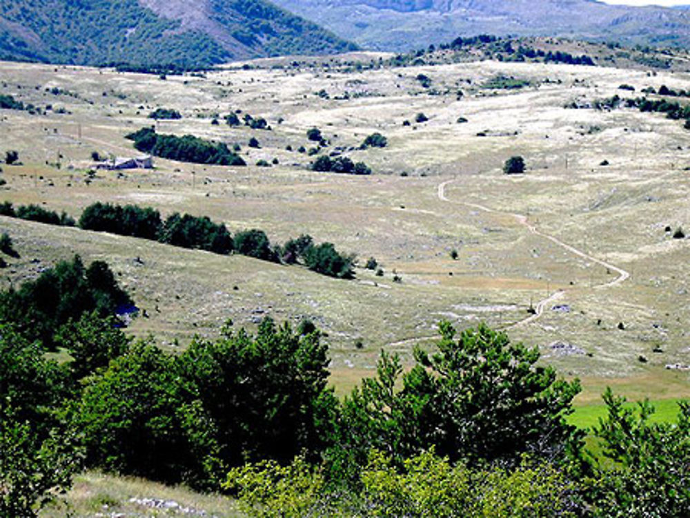 Plateau de Caussols