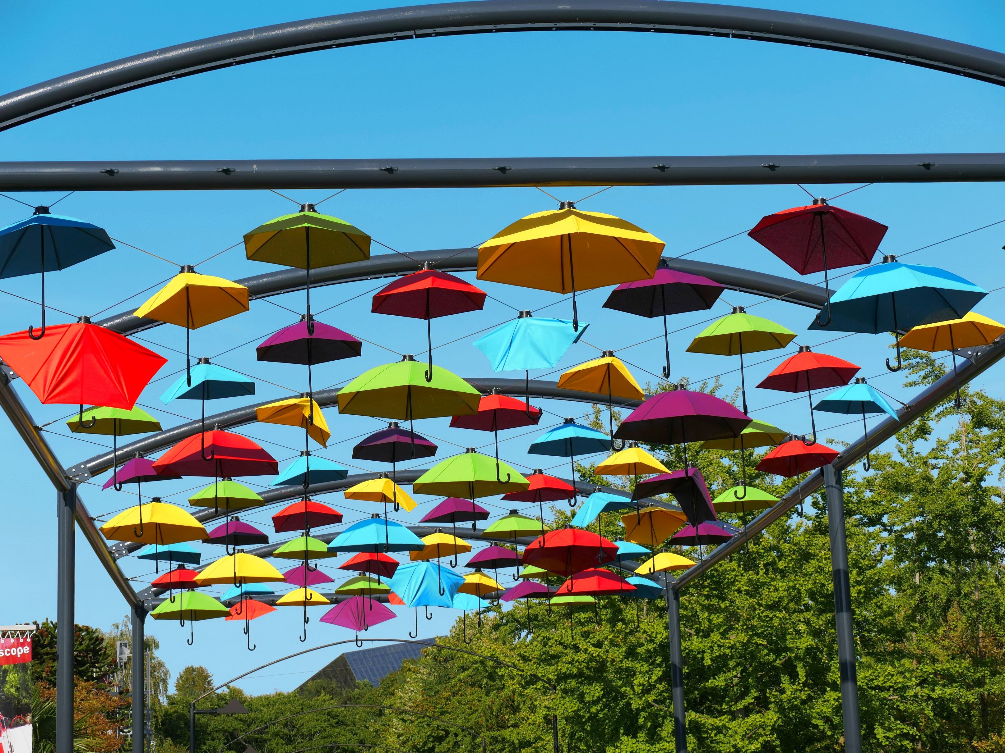 Parapluies multicolores à l'entrée du parc