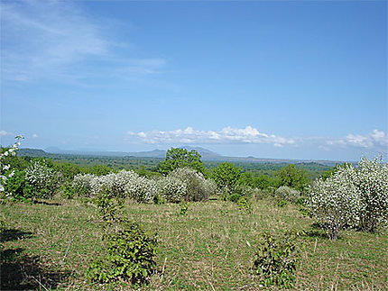 Parc national de Ruaha