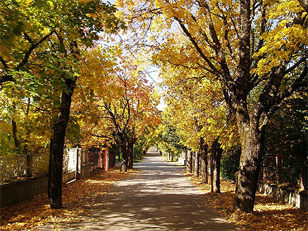 Vytina: le chemin des amoureux Vytina: le chemin des amoureux