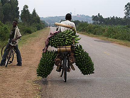 Bicyclette et bananes
