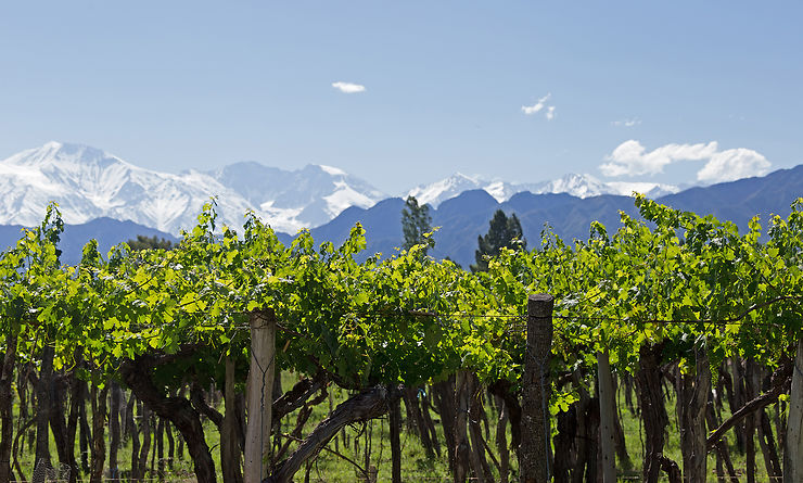 Fte des vendanges (Fiesta de la vendimia) Mendoza