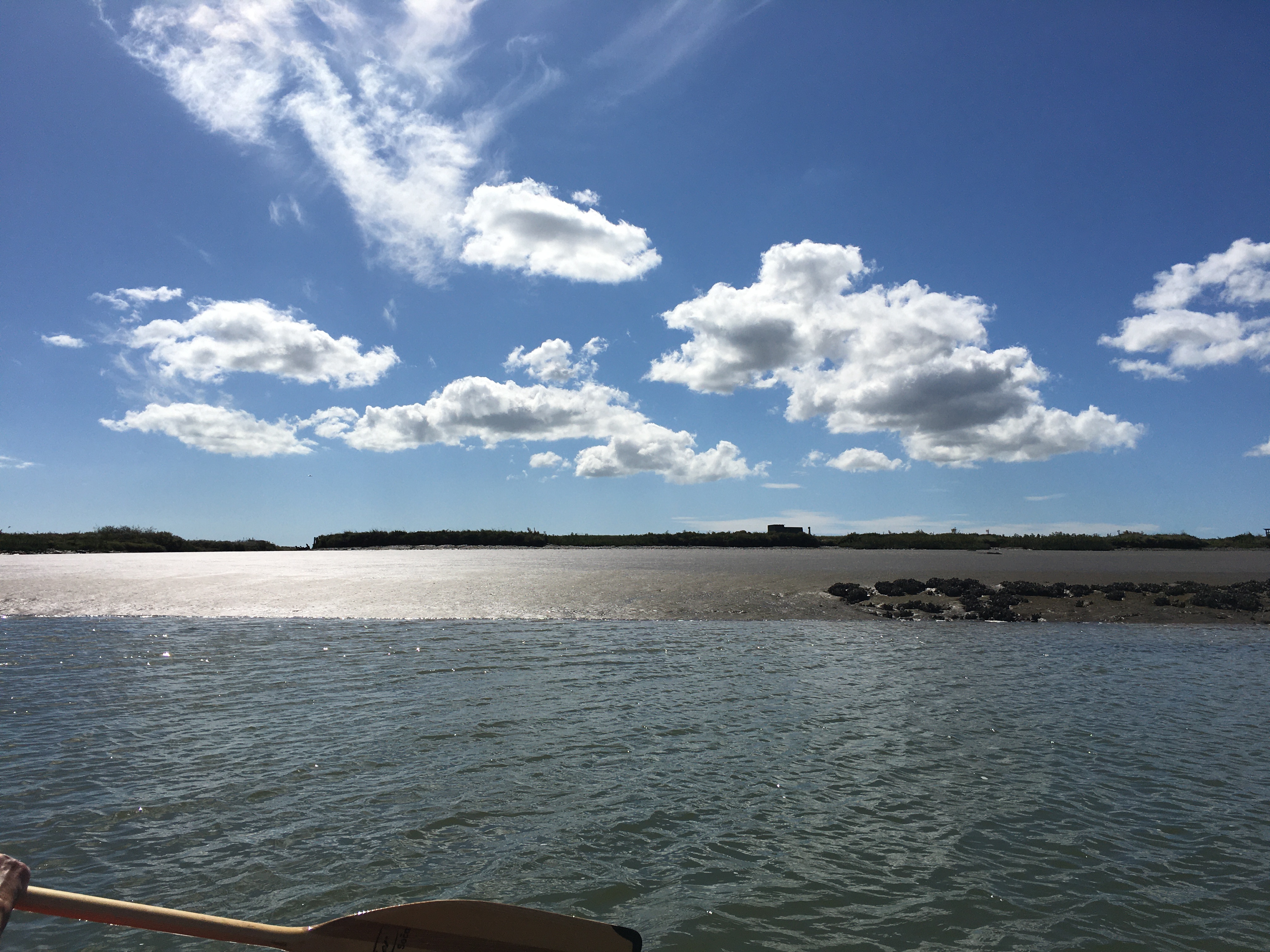 La Seudre en canoë La Seudre en canoë