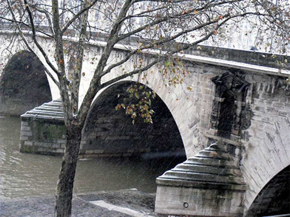 Le pont Marie