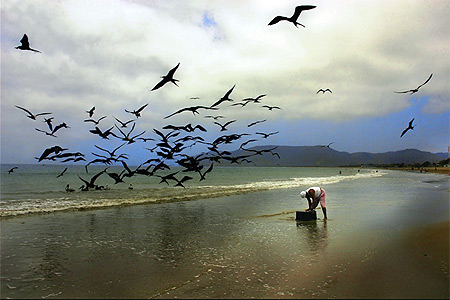 Pêcheur de Puerto Lopez Pêcheur de Puerto Lopez