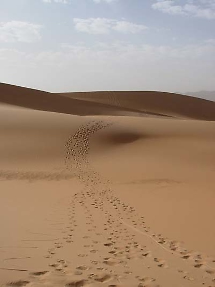 Cheminement dans les dunes de Mauritanie