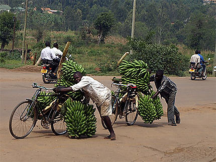 Bicyclettes et bananes