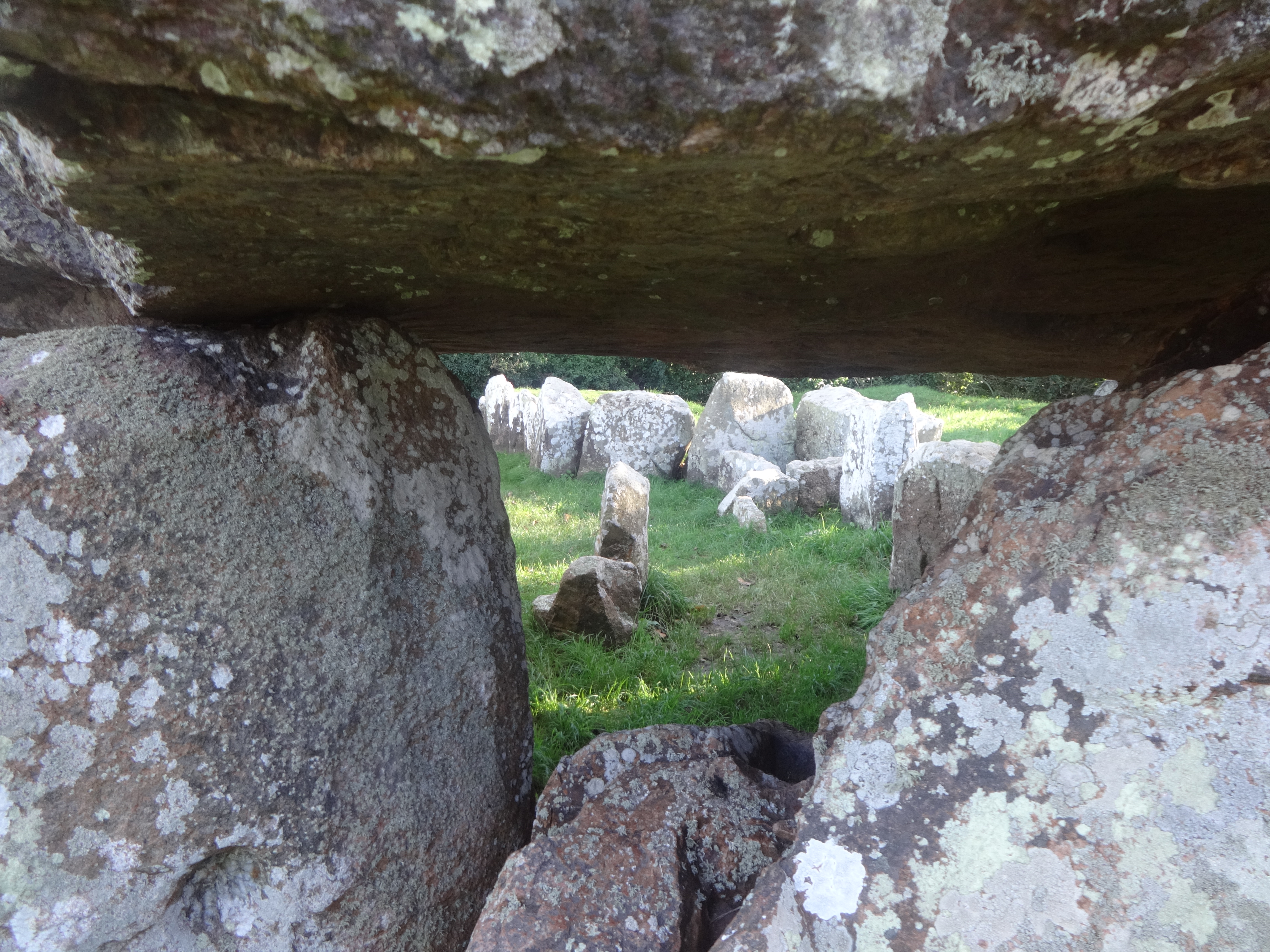 Un oeil discret sur le dolmen Un oeil discret sur le dolmen