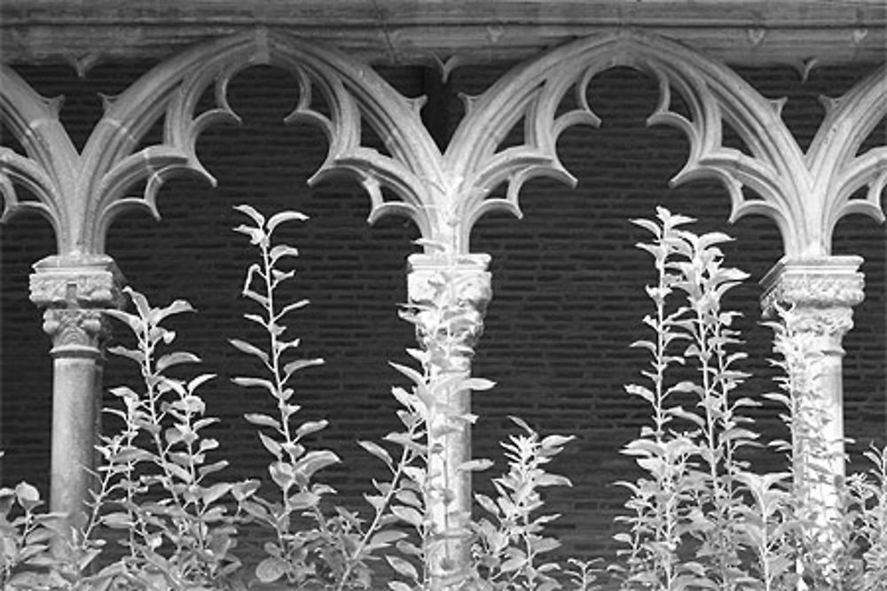 Toulouse - Musée Augustins- Jolies arcades du cloître