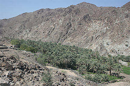 Un wadi
