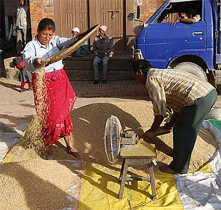 Séparer le grain