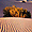 Dunes dans la Vallée de la Mort