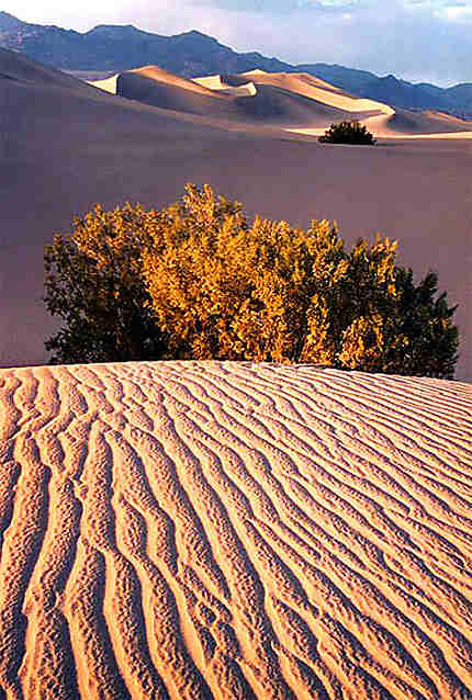 Dunes dans la Vallée de la Mort