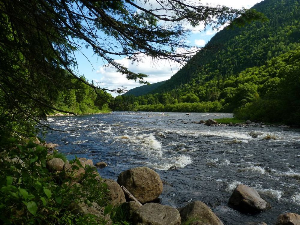 Parc de La Jacques Cartier