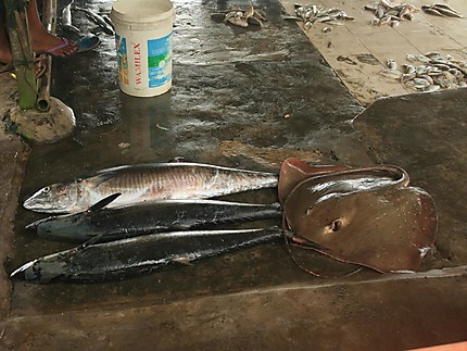 Marché aux poissons de Batu Karas