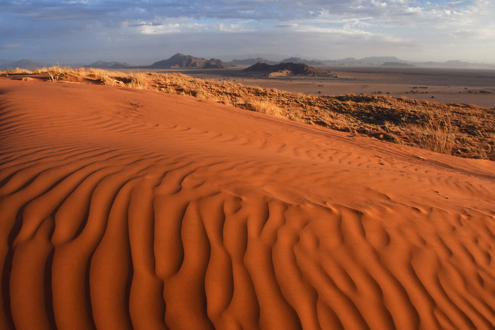 Dunes au soir