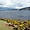 Vue sur le Loch Ness