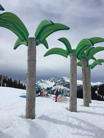 Palmtrees in the mountains en Suisse