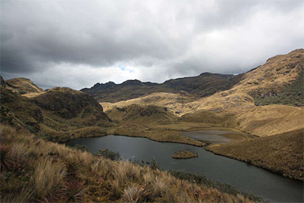 Parc Cajas