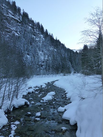 Beauté glacée