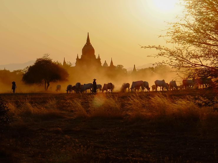 Coucher de soleil sur Bagan, Birmanie