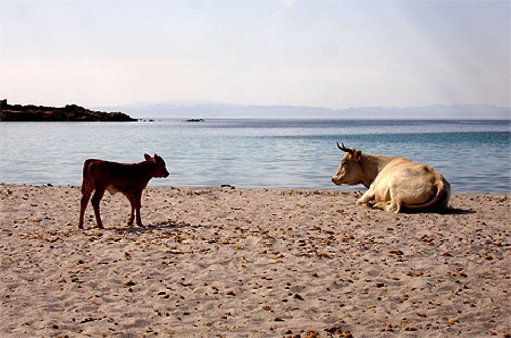 Plage en Mai