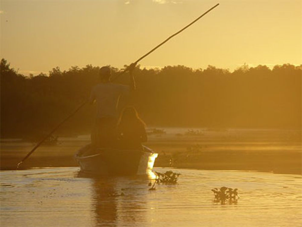 Lever du soleil dans la mangrove de Monterrico