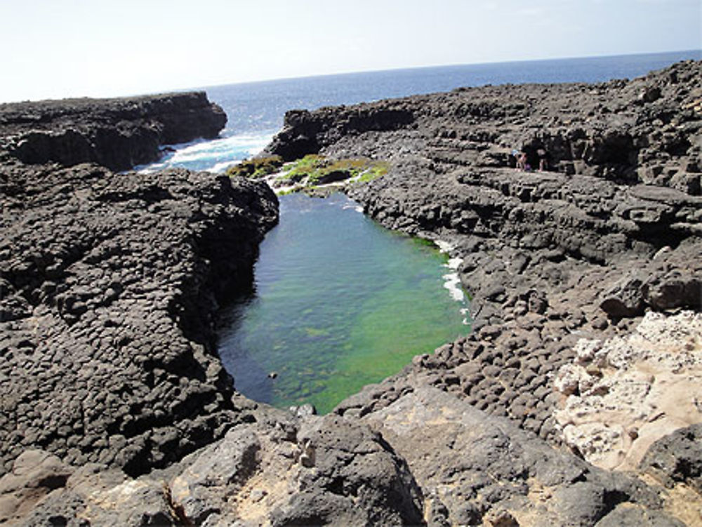 Piscine naturelle