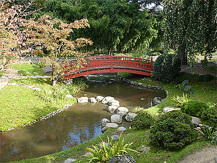 Superbe jardin japonais