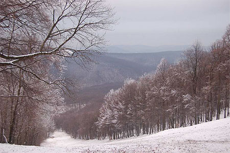 Piste de ski a Dobogókő Piste de ski a Dobogókő