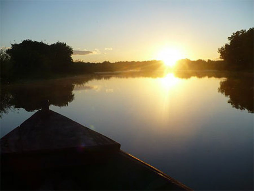 Mangrove de Monterrico au lever du soleil