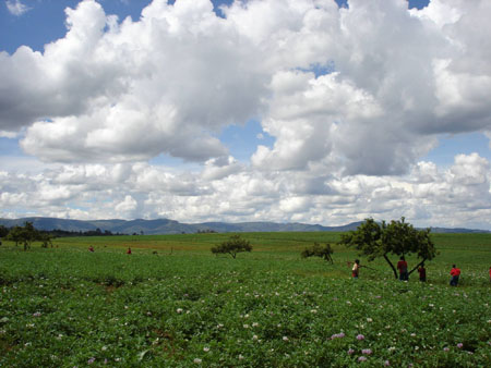 Ciel africain Ciel africain