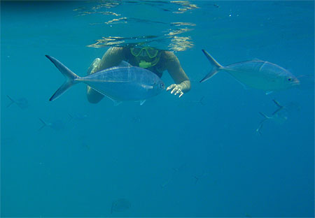Rencontre aquatique