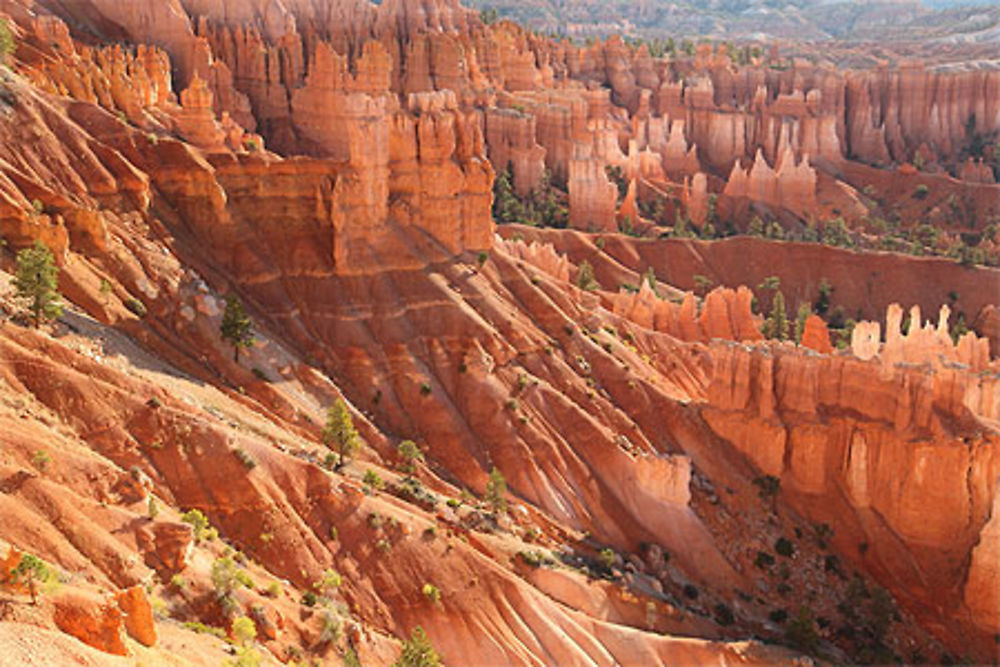 Hoodoos à Bryce canyon national park, Utah