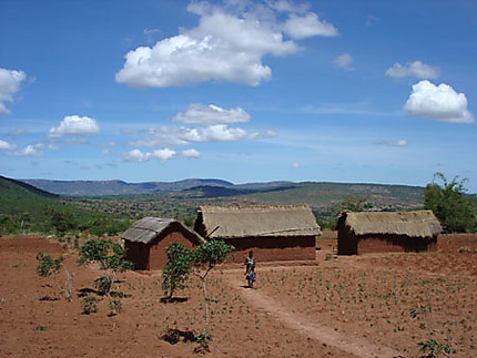 Collines de Tanzanie