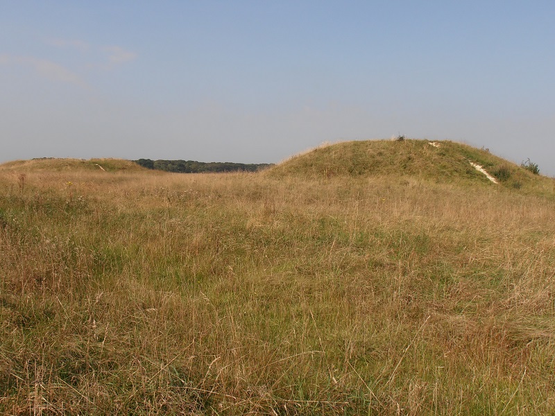 Cursus barrows (tumulus) Cursus barrows (tumulus)