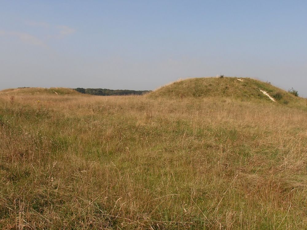 Cursus barrows (tumulus)