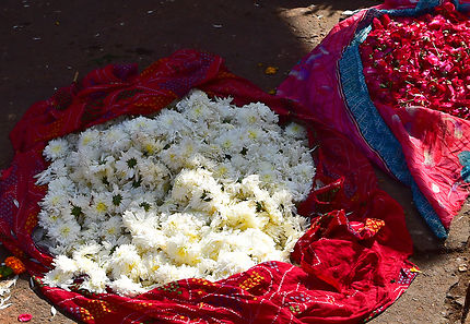 Marché aux fleurs à Jaipur