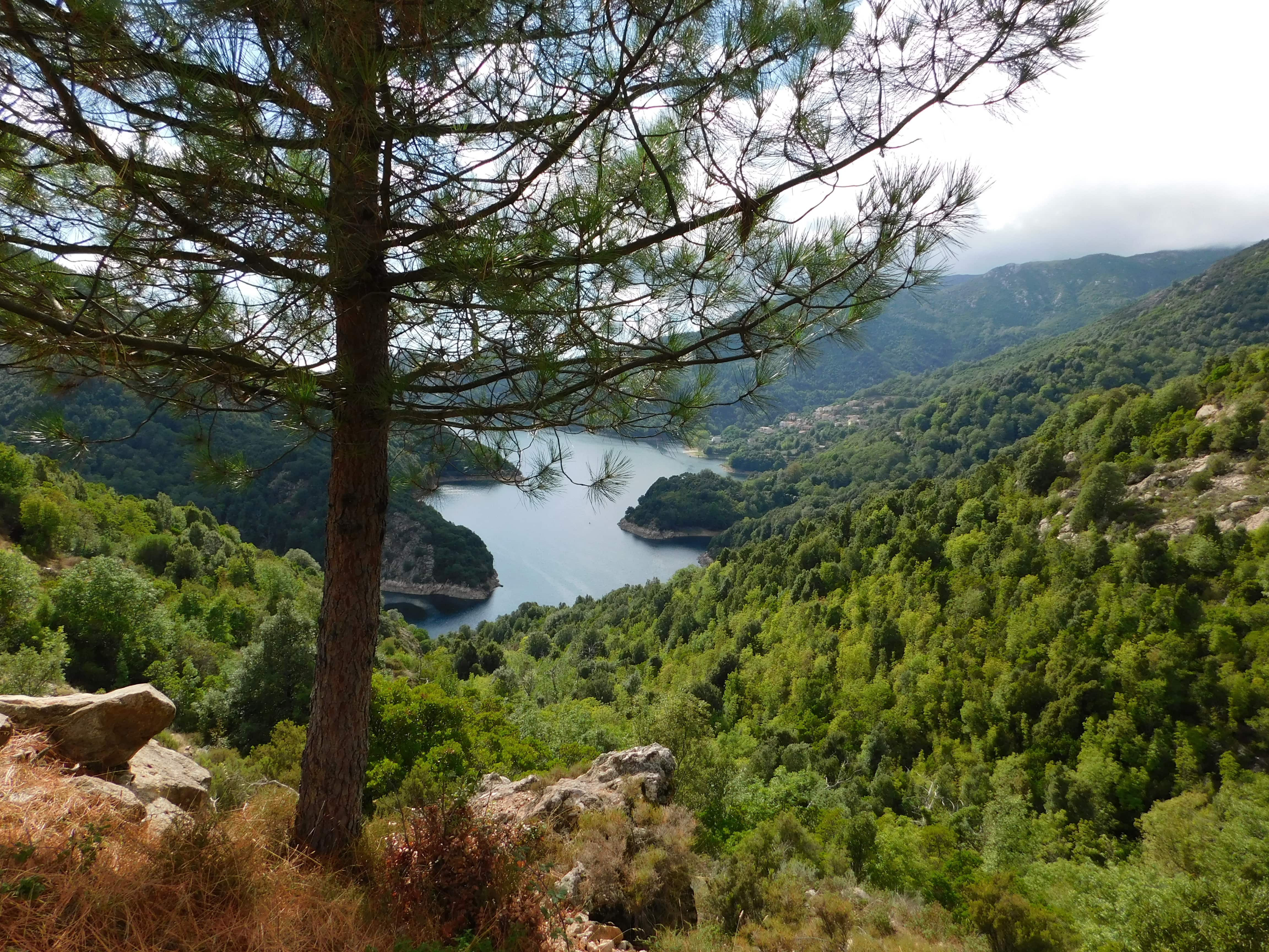 Lac de Tolla Lac de Tolla