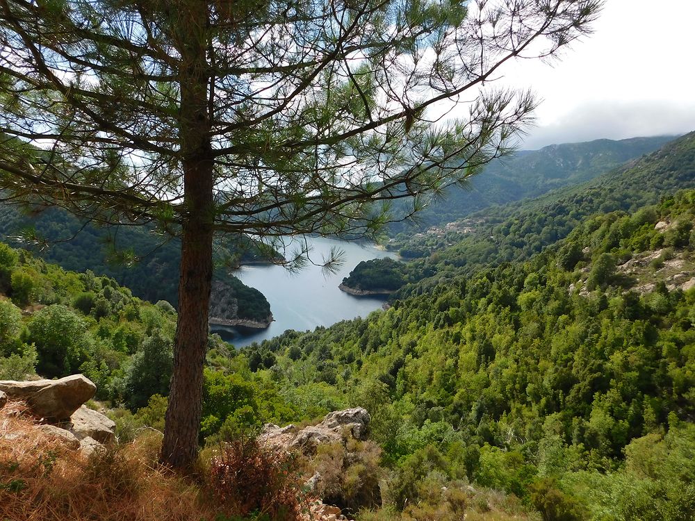 Lac de Tolla