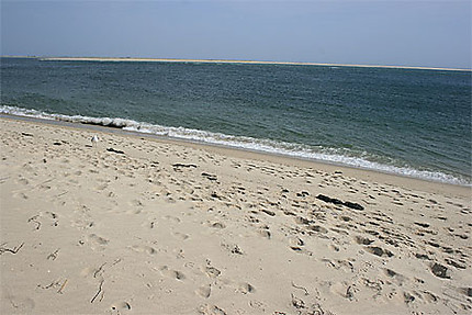 Nauset Beach