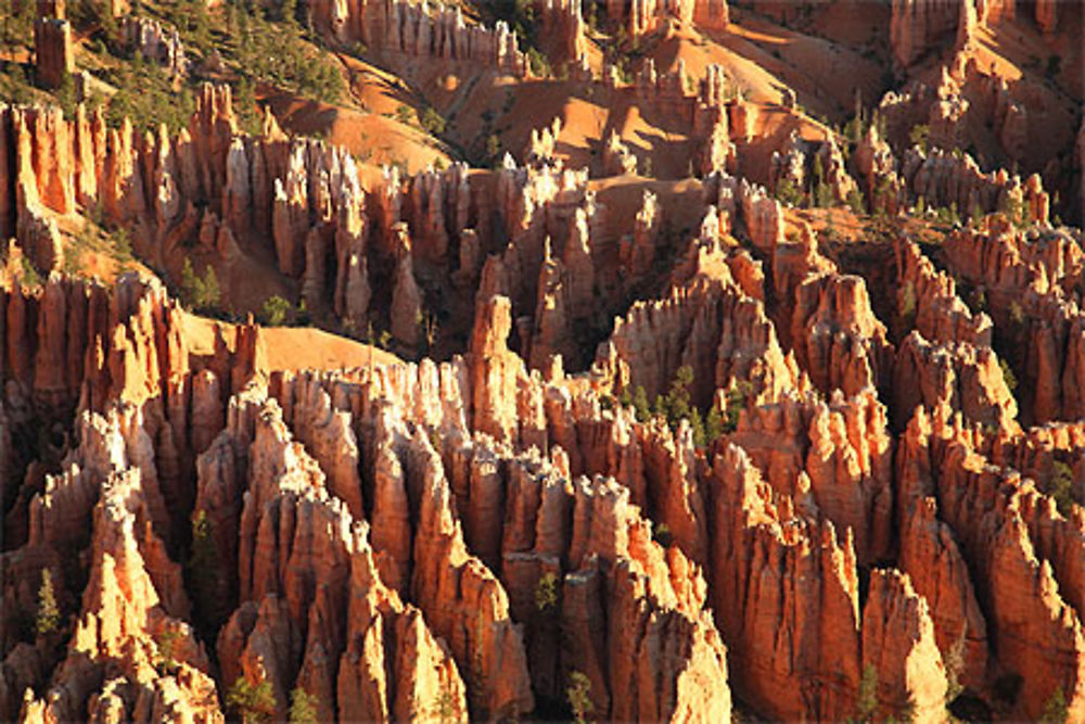 Hoodoos à Bryce canyon national park, Utah