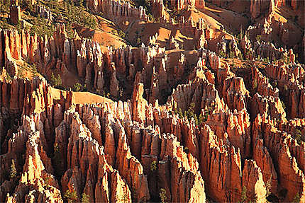 Hoodoos à Bryce canyon national park, Utah